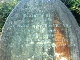 image of grave number 306538